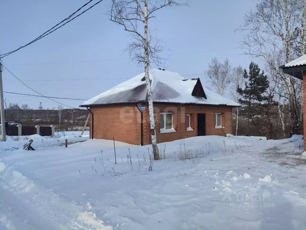 Дом в Амурская область, Благовещенский район, с. Чигири ул. Березовая, ... - Фото 2