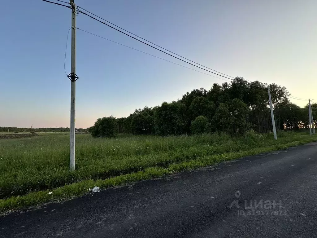 Участок в Ленинградская область, Всеволожский район, Романовское ... - Фото 0