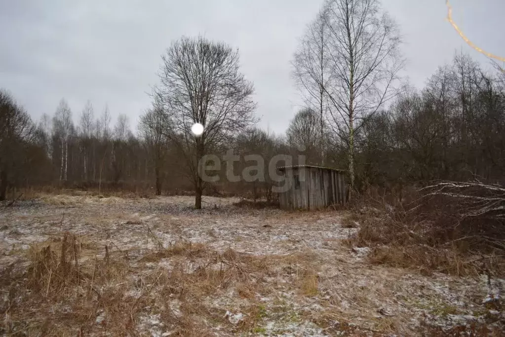 Участок в Псковская область, Порховский муниципальный округ, Медик СНТ ... - Фото 2