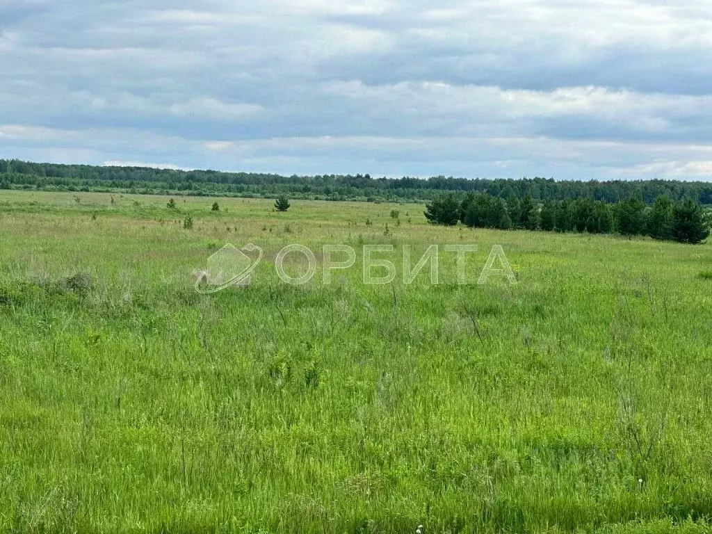 Участок в Тюменская область, Тюменский муниципальный округ, д. Зырянка ... - Фото 2