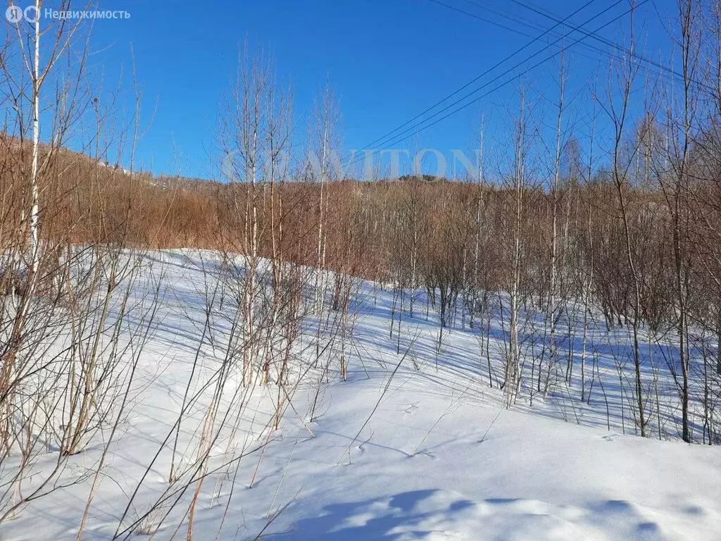 Участок в Горно-Алтайск, Таштагольская улица (10 м) - Фото 2