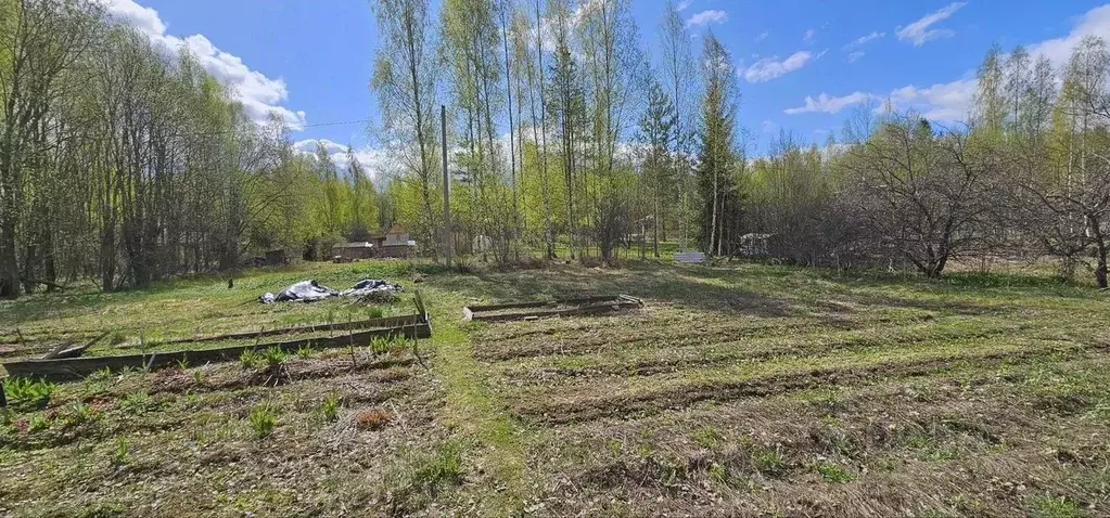 Участок в Ленинградская область, Лужский район, Заклинское с/пос, ... - Фото 2