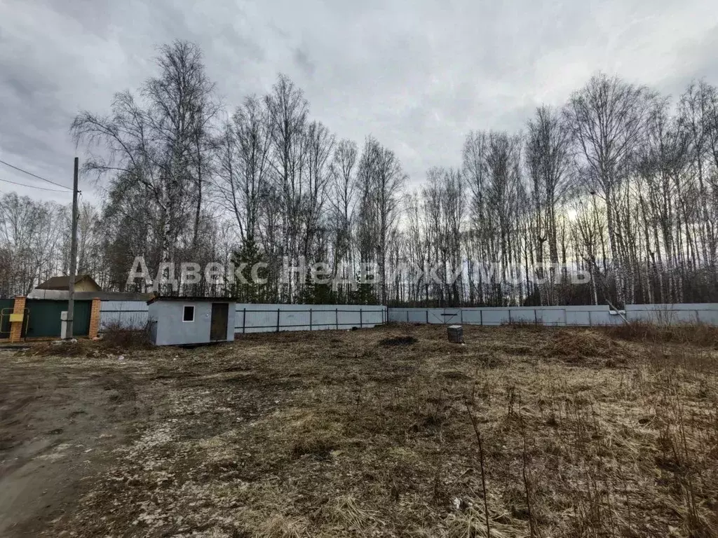 Участок в Тюменская область, Тюмень Сигнал садовое товарищество, ул. ... - Фото 2
