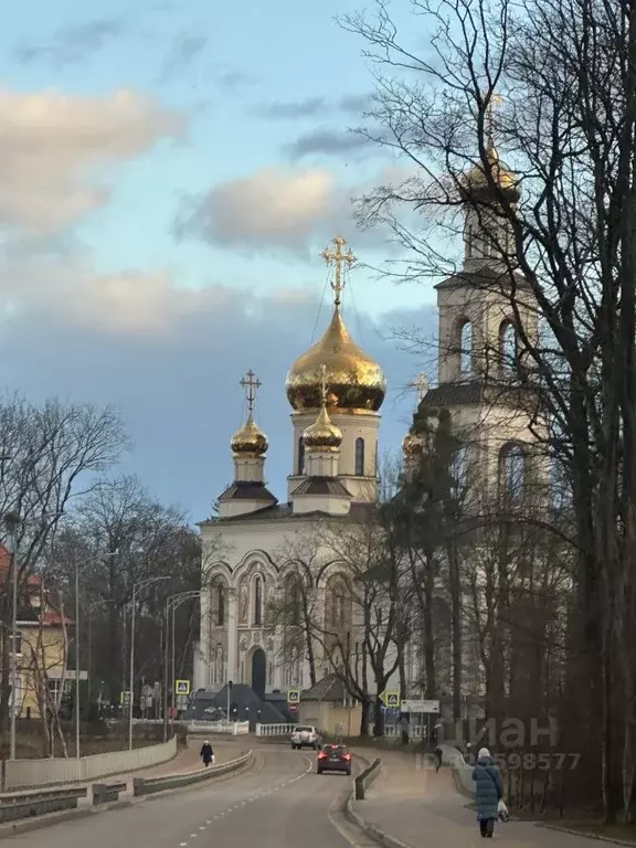 Участок в Калининградская область, Калининград Весна СНТ, ул. ... - Фото 1