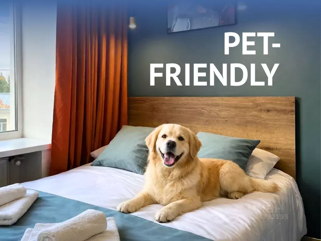 Студия Санкт-Петербург Садовая ул., 53 (16.0 м) - Фото 2