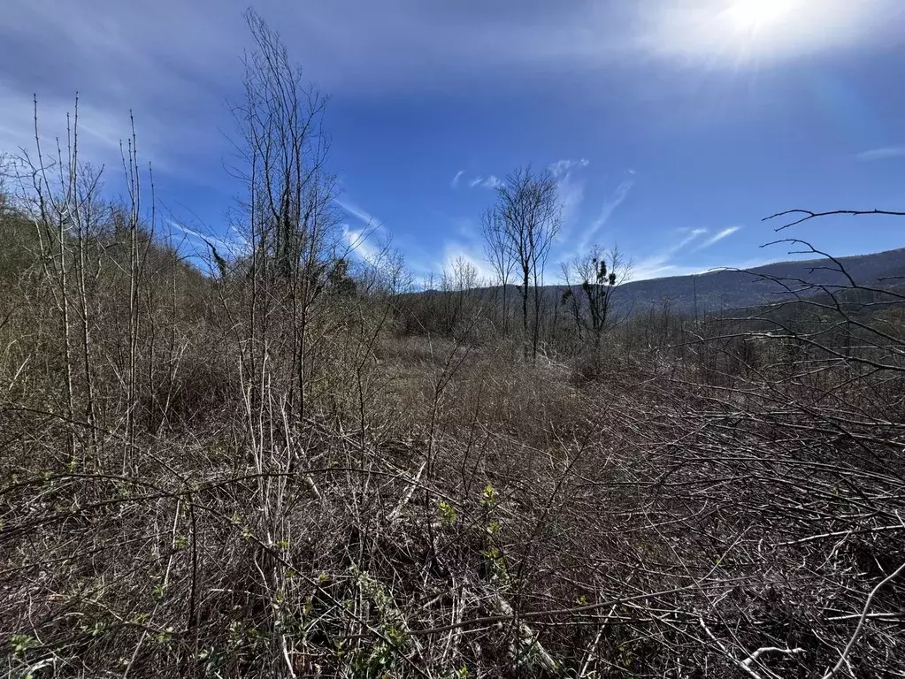 Участок в Краснодарский край, Геленджик ул. Ленина (12.0 сот.) - Фото 0