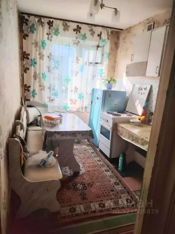 Комната Новосибирская область, Новосибирск ул. Дениса Давыдова, 11 ... - Фото 1