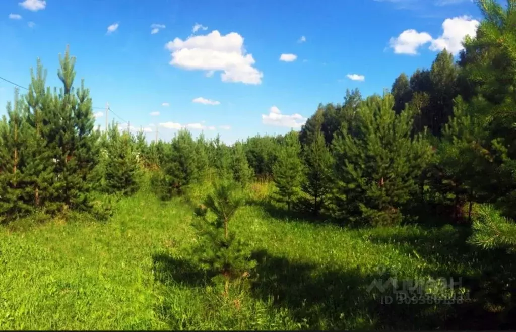 Участок в Московская область, Наро-Фоминский городской округ, д. ... - Фото 0