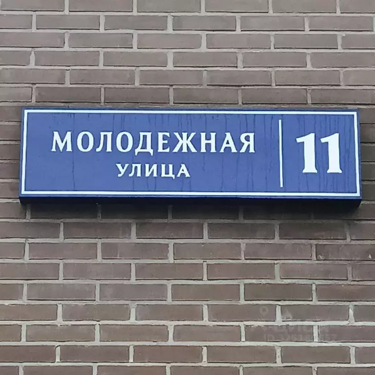 2-к кв. Московская область, Балашиха Молодежная ул., 11 (55.0 м) - Фото 2