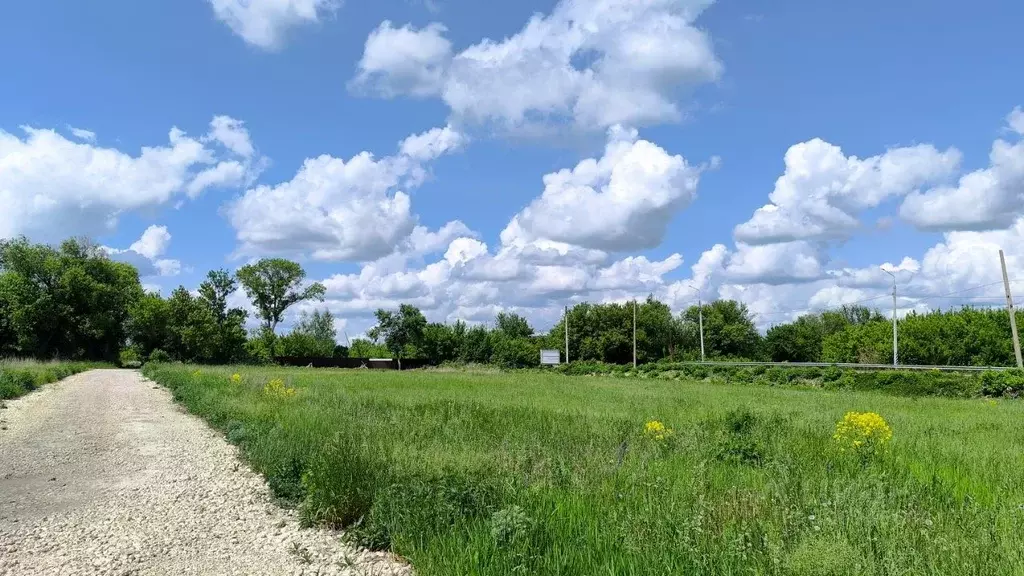 Участок в Тульская область, Новомосковск Сокольники мкр,  (10.0 сот.) - Фото 2