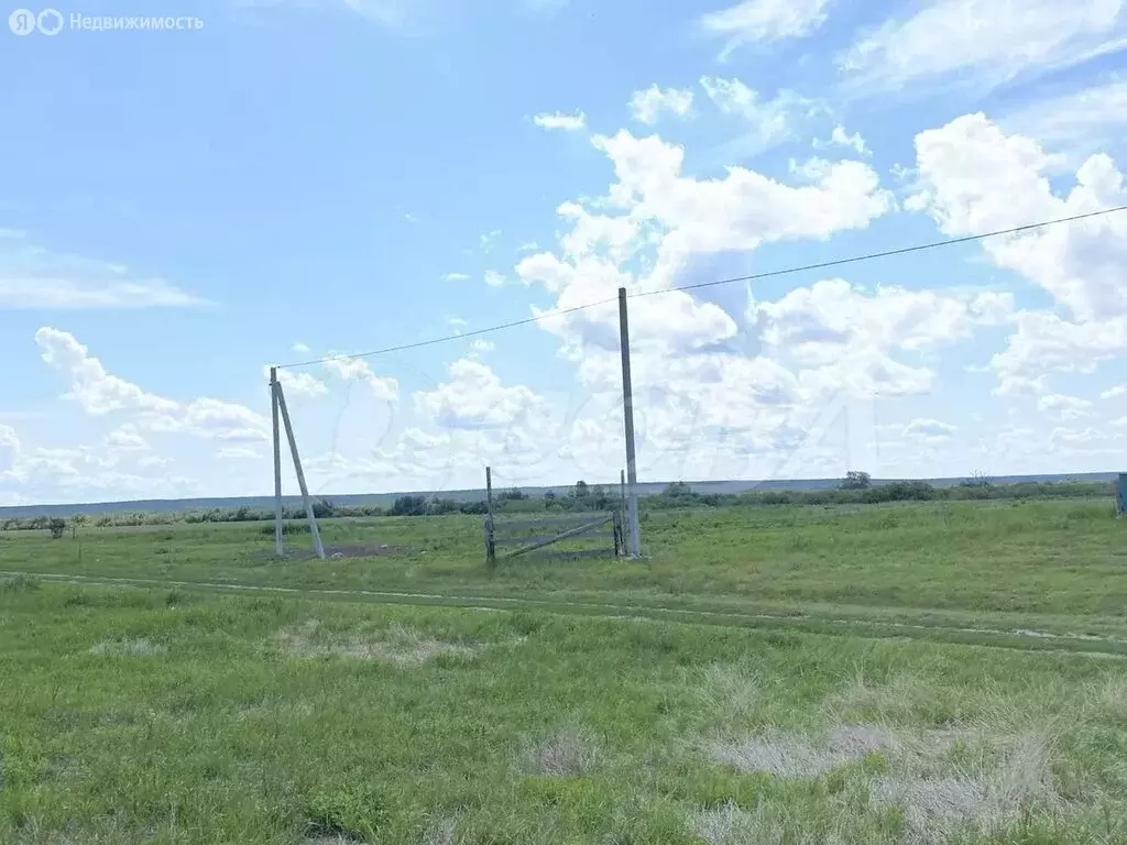 Участок в Тюменская область, Исетский муниципальный округ, деревня ... - Фото 1