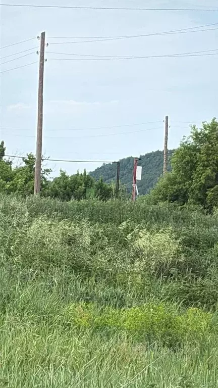Участок в Саратовская область, Новобурасское муниципальное ... - Фото 0