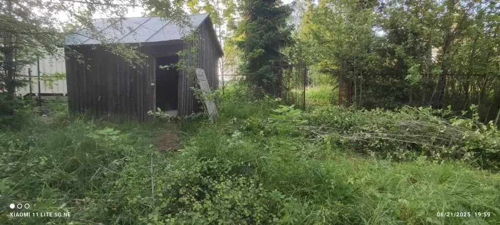Участок в Московская область, Солнечногорск городской округ, д. ... - Фото 1