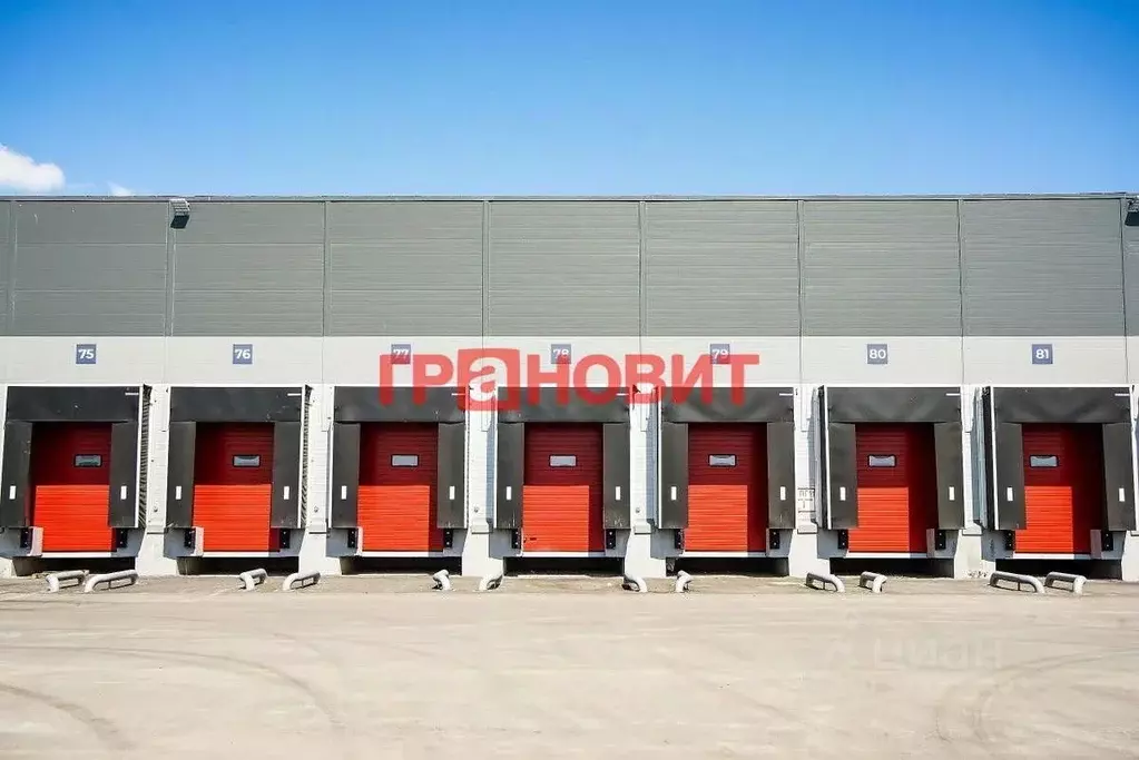 Склад в Новосибирская область, Новосибирский район, с. Толмачево ул. ... - Фото 2