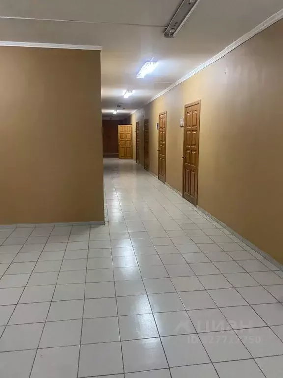 Офис в Иркутская область, Иркутск ул. Блюхера, 12 (57 м) - Фото 2