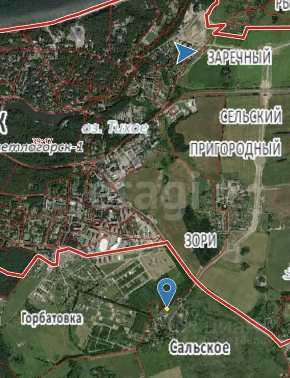 Участок в Калининградская область, Светлогорск Садовая ул. (7.0 сот.) - Фото 1