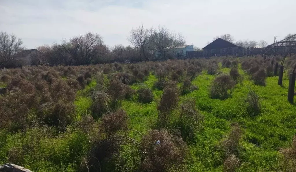 Участок в Астраханская область, Приволжский район, с. Яксатово ... - Фото 2