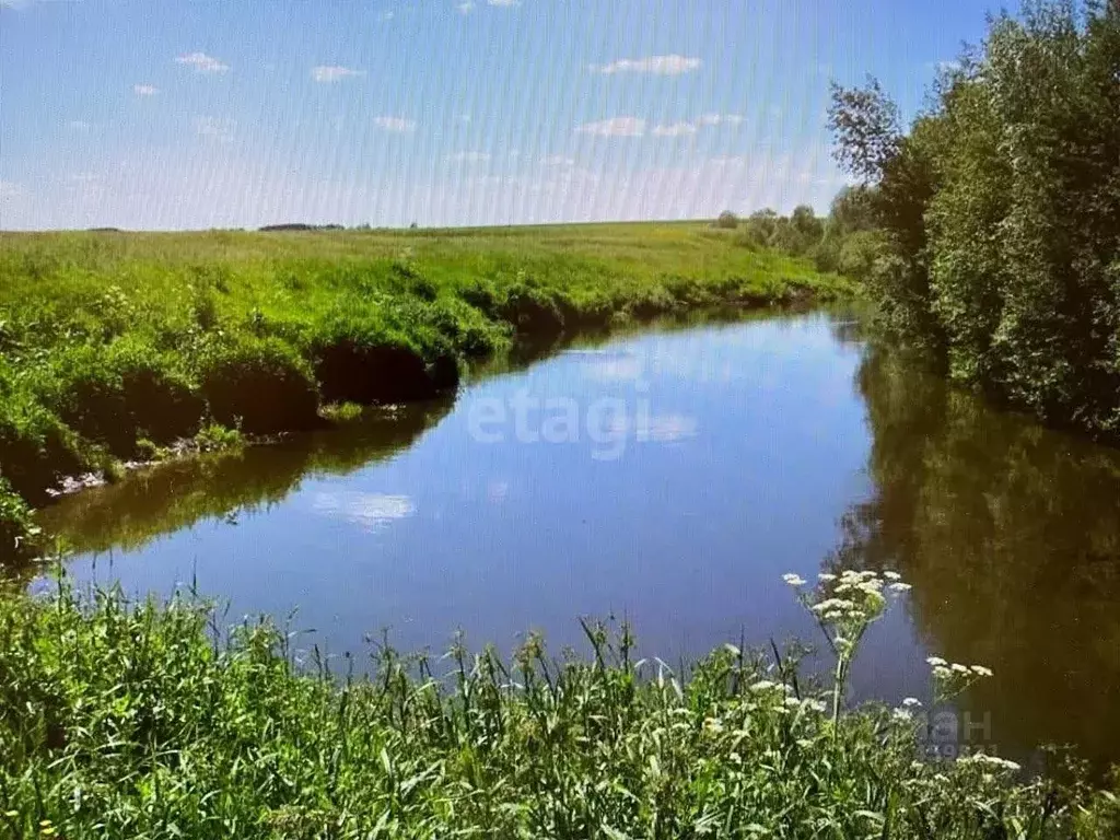 Участок в Марий Эл, Йошкар-Ола городской округ, д. Шоя-Кузнецово ул. ... - Фото 1