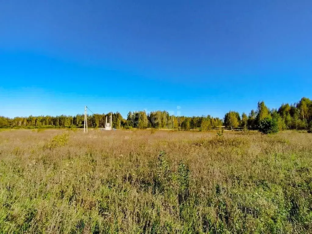 Участок в Ярославская область, Ярославский муниципальный округ, д. ... - Фото 1