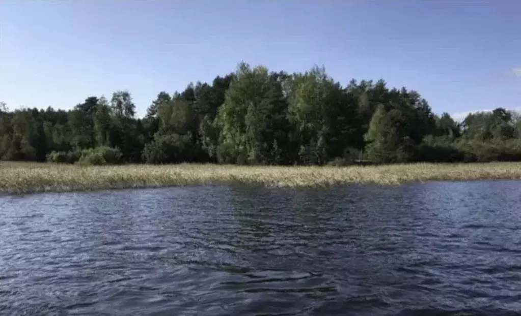 Участок в Карелия, Сортавальское городское поселение, пос. Ламберг ул. ... - Фото 0