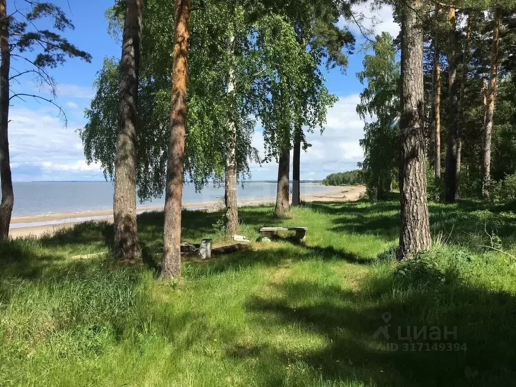 Участок в Новосибирская область, Искитимский район, Быстровский ... - Фото 0
