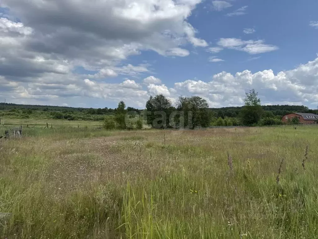 Участок в Марий Эл, Медведевский район, Руэмское с/пос, д. Нолька ул. ... - Фото 2