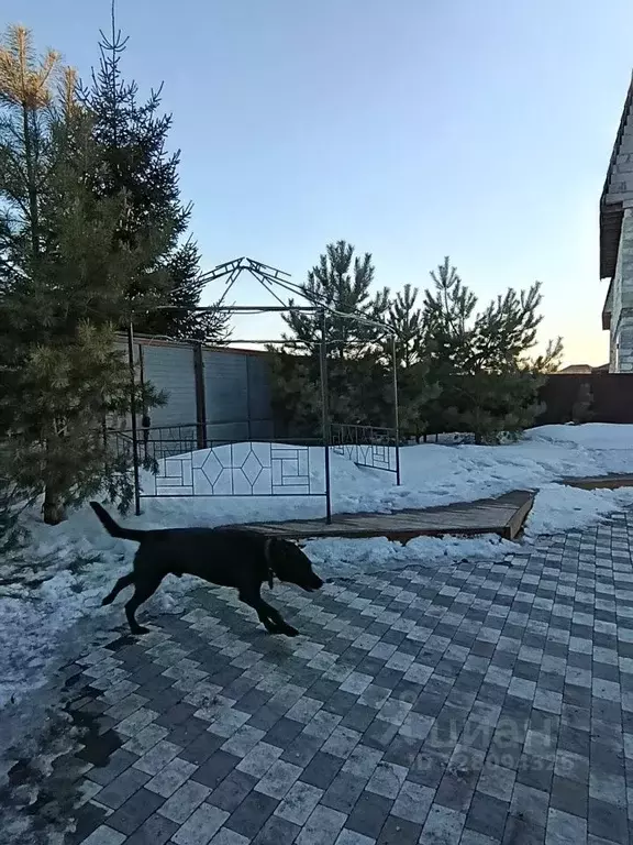 Участок в Краснодарский край, Тимашевск Заря мкр, ул. Никольская, 12 ... - Фото 1