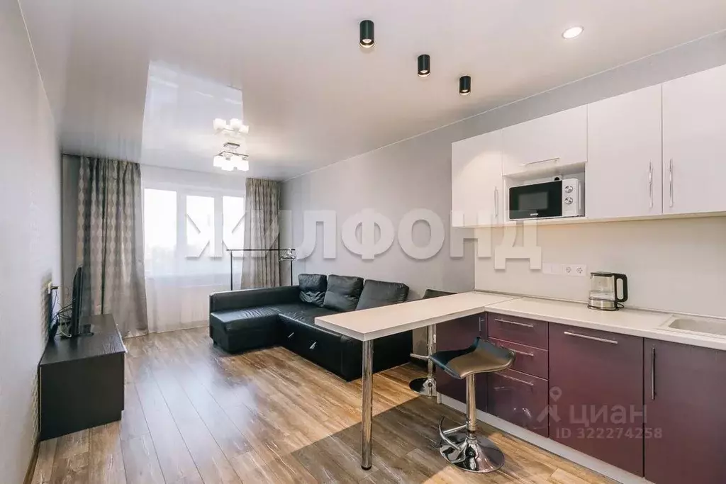 1-к кв. Новосибирская область, Новосибирск Покатная ул., 130/1 (27.5 ... - Фото 1