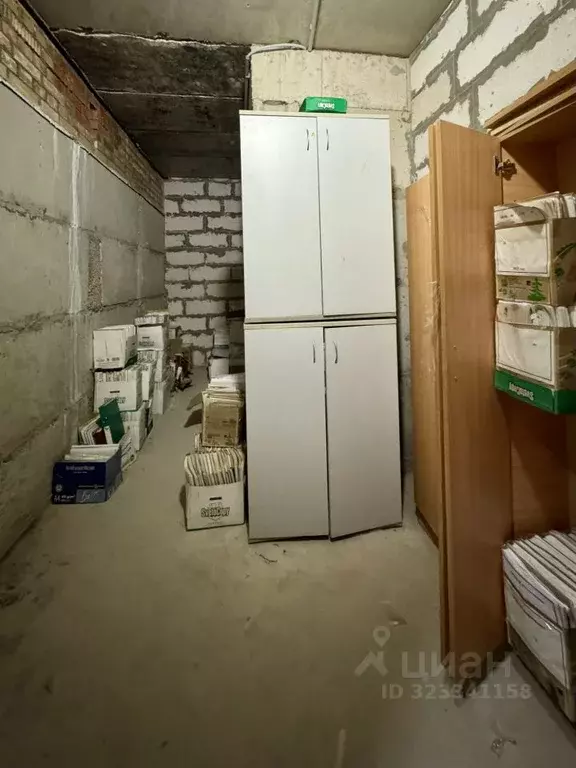 Помещение свободного назначения в Псковская область, Псков Петровская ... - Фото 2