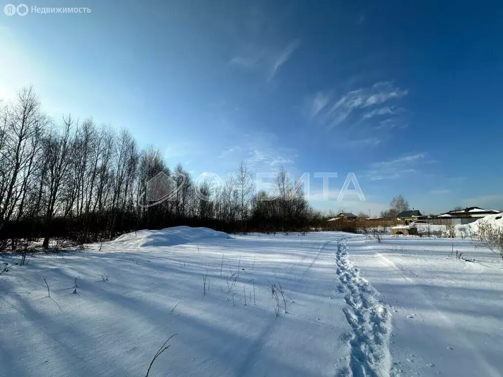 Участок в Тюменский район, деревня Пышминка (8 м) - Фото 1