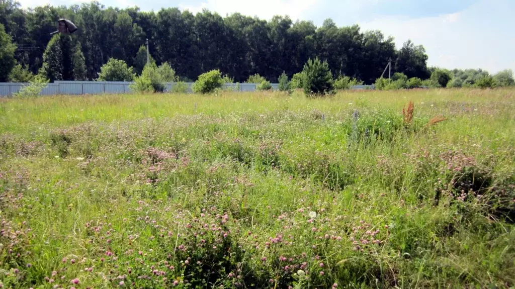 Участок в Калужская область, Таруса ул. Московская (19.5 сот.) - Фото 2