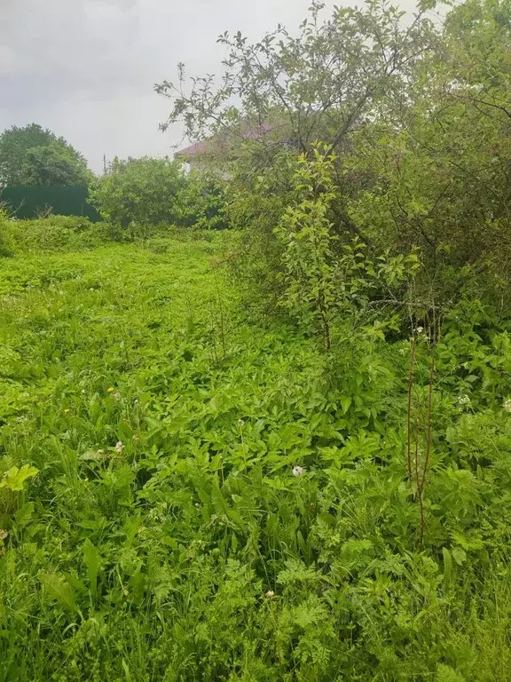 Участок в Псковская область, Псковский район, Середкинская волость, ... - Фото 1