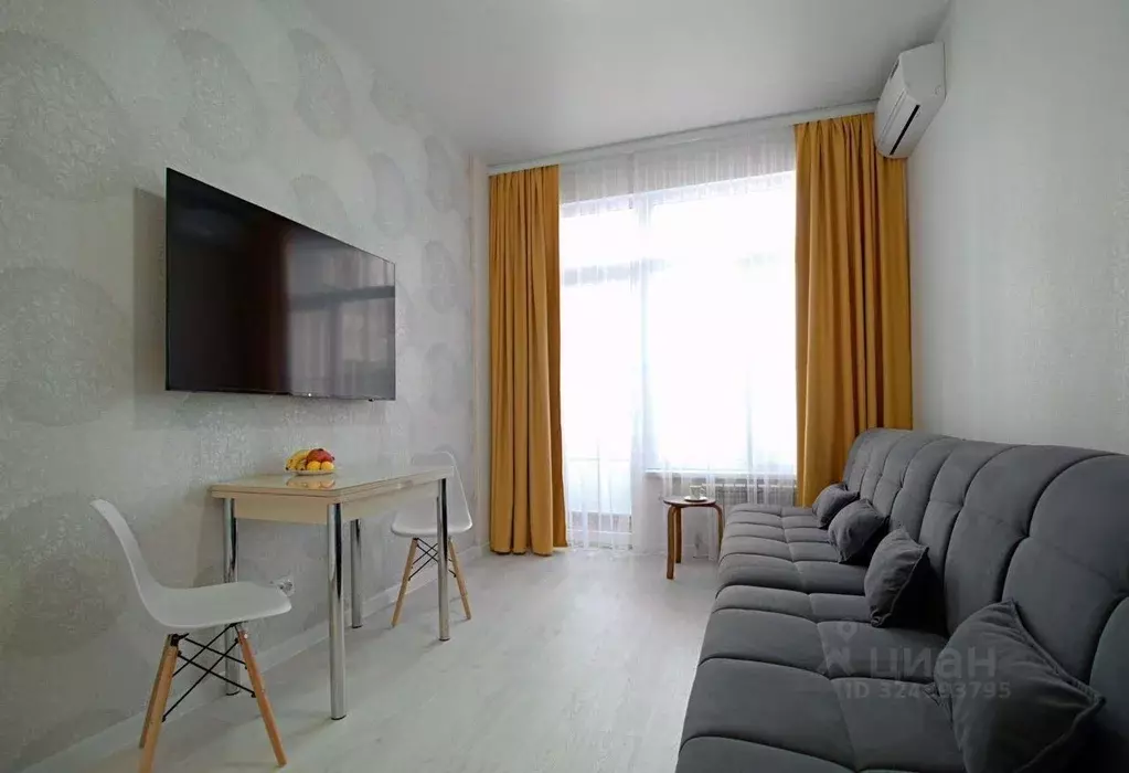 Студия Краснодарский край, Сочи ул. Ленина, 290/6 (22.0 м) - Фото 1