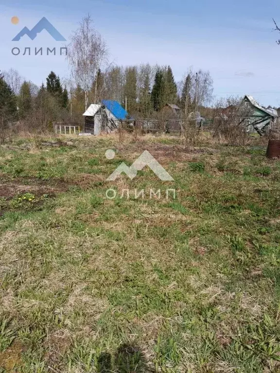 Участок в Вологодская область, Электрон садоводческое товарищество ... - Фото 0