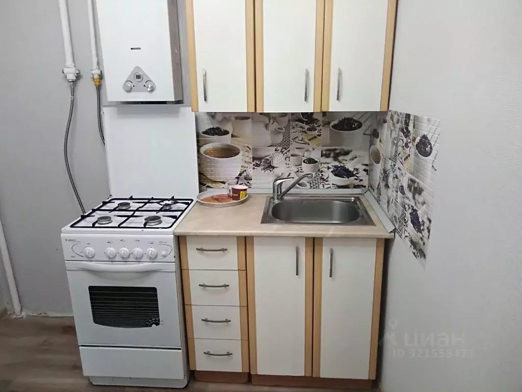 1-к кв. Нижегородская область, Арзамас Парковая ул., 4 (31.3 м) - Фото 0