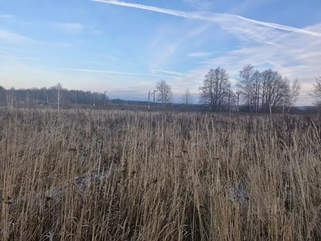 Участок в Московская область, Ступино городской округ, д. Шманаево ул. ... - Фото 1