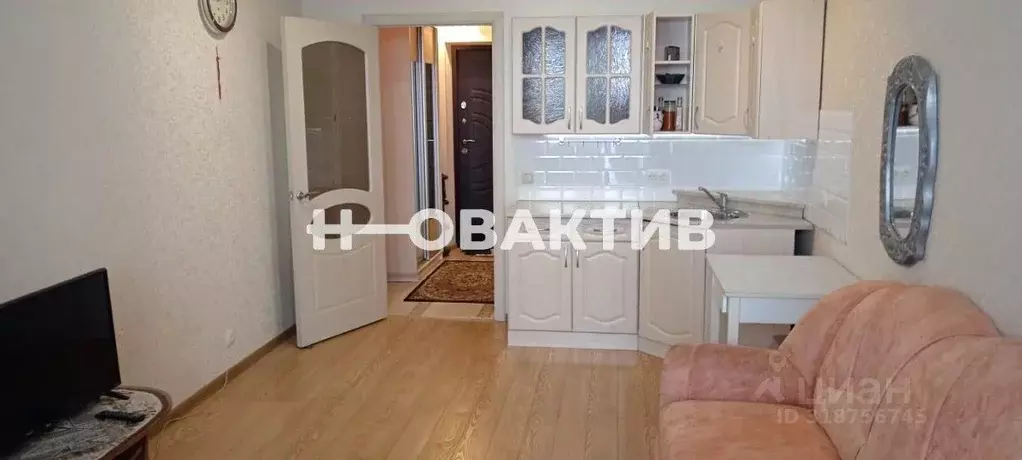 Студия Новосибирская область, Новосибирск ул. Костычева, 74/1 (23.7 м) - Фото 1