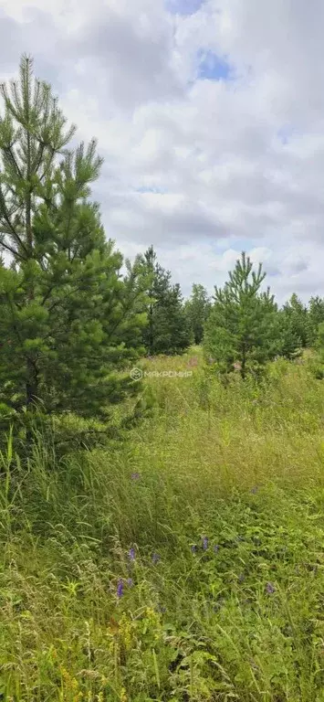 Участок в Челябинская область, Аргаяшский муниципальный округ, д. ... - Фото 1