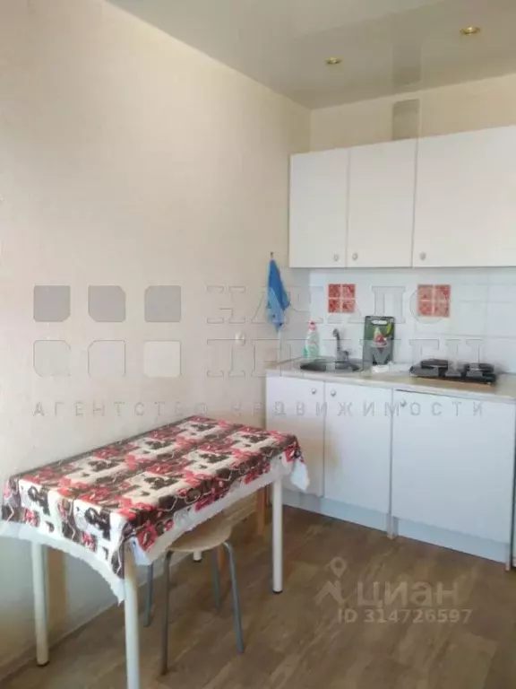 Студия Новосибирская область, Новосибирск ул. Виктора Уса, 13 (23.0 м) - Фото 0