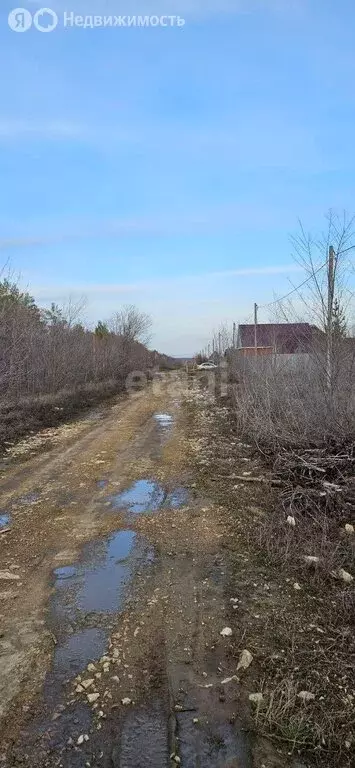 Участок в Оренбургский район, Каменноозёрный сельсовет, ДНТ ... - Фото 0