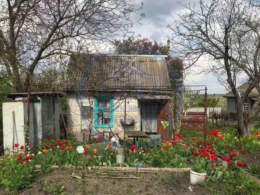 Дом в Белгородская область, Белгородский район, Ериковское с/пос, ... - Фото 0