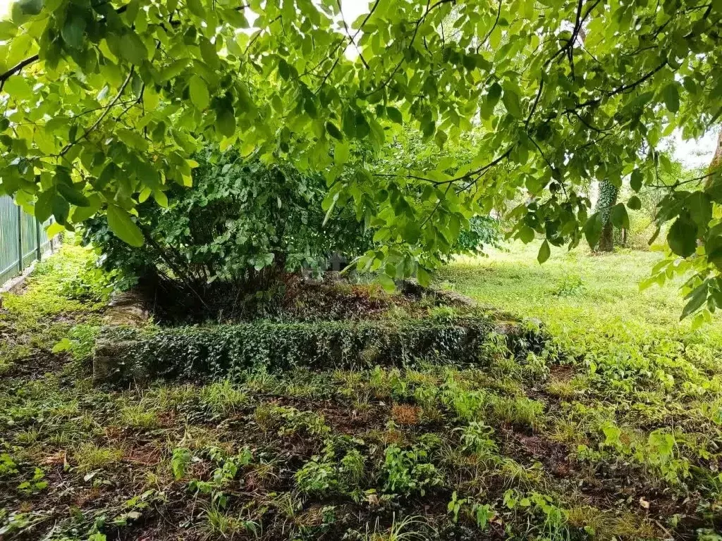 Участок в Адыгея, Майкопский район, пос. Каменномостский ул. Крылова ... - Фото 2