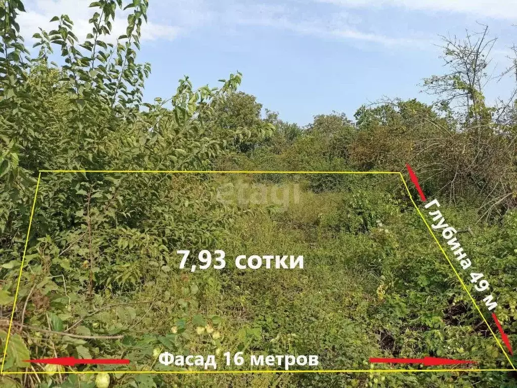 Участок в Краснодарский край, Темрюк Факел СОТ,  (7.9 сот.) - Фото 0