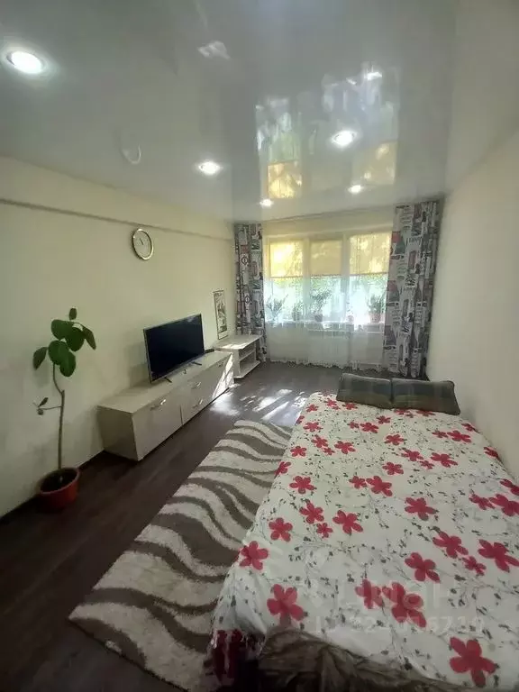 1-к кв. Алтайский край, Рубцовск Алтайская ул., 193 (31.0 м) - Фото 1