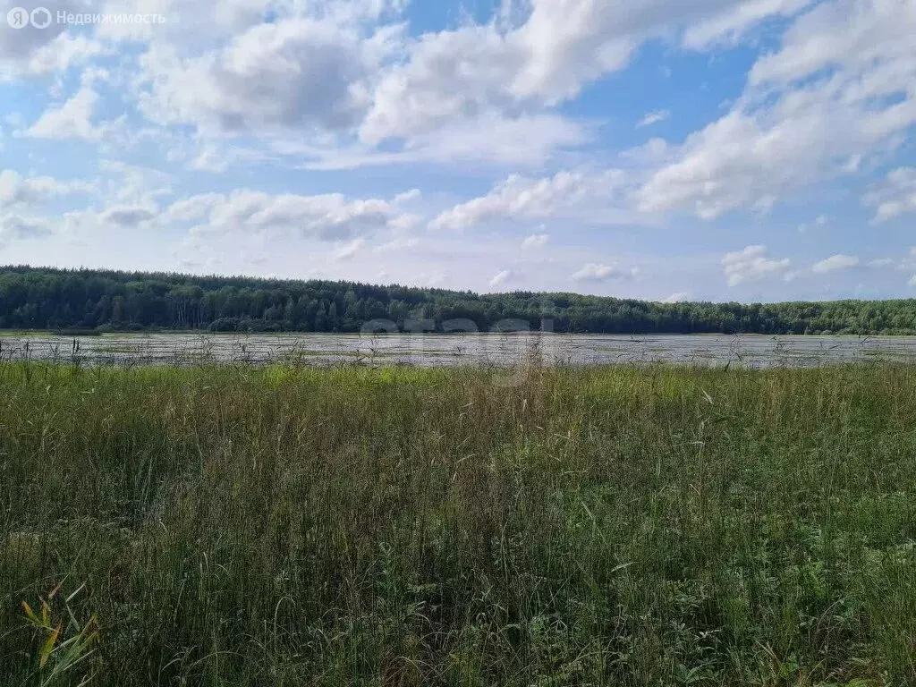 Участок в Кондопожский район, Кончезерское сельское поселение, село ... - Фото 1