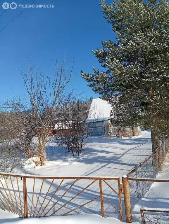 Дом в село Янишполе, Лесная улица (36.9 м) - Фото 2