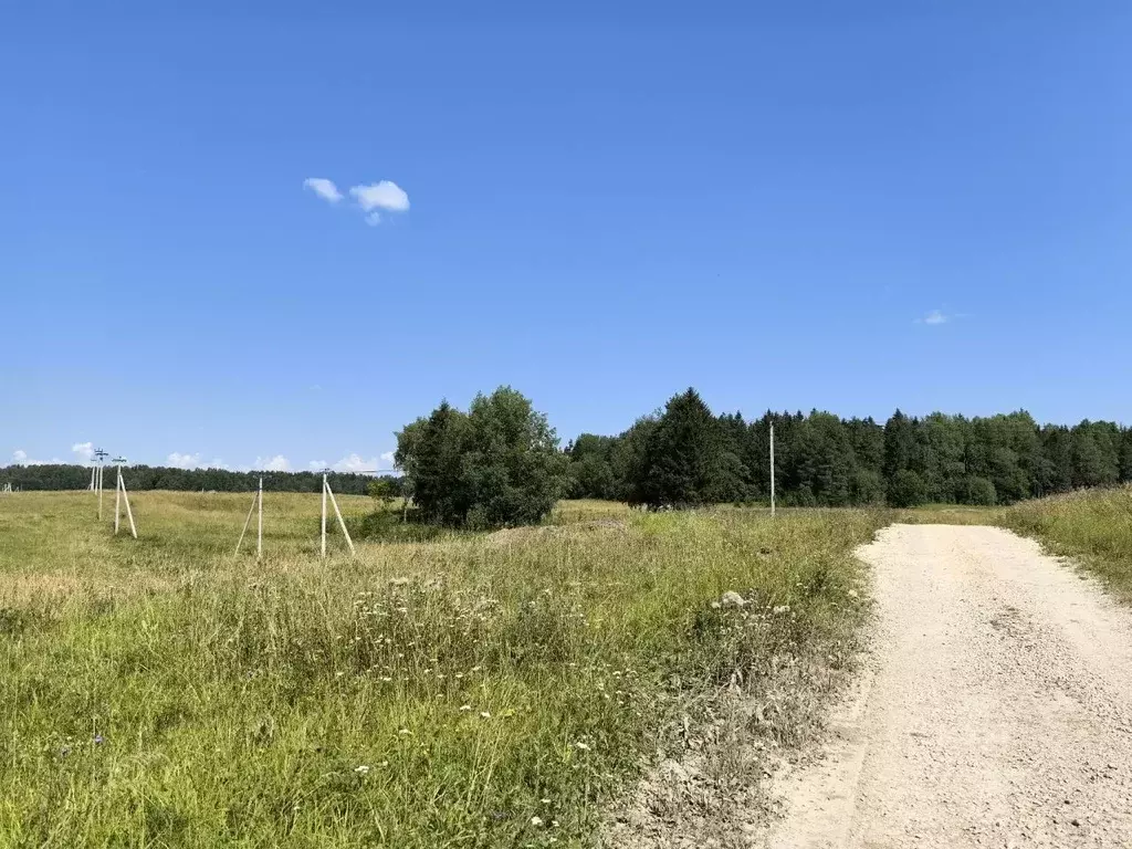 Участок в Ленинградская область, Ломоносовский район, Лопухинское ... - Фото 0