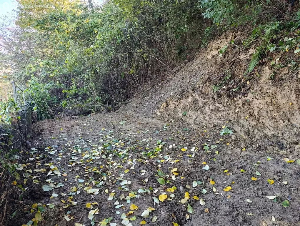 Участок в Сочи, улица Яна Фабрициуса, 26 (1 м) - Фото 2