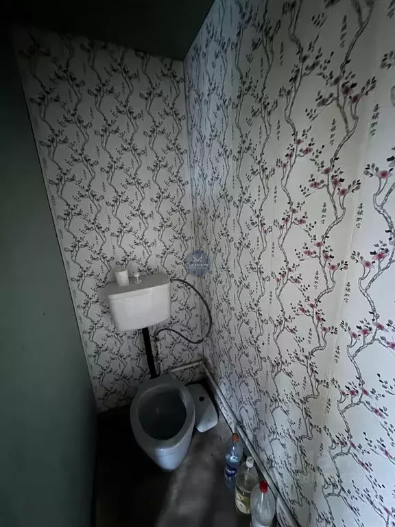 Дом в Воронежская область, Борисоглебск Пушкинская ул., 32 (15 м) - Фото 2