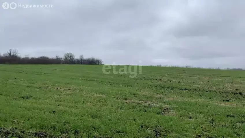 Участок в село Студёновка, Родниковая улица (490 м) - Фото 0